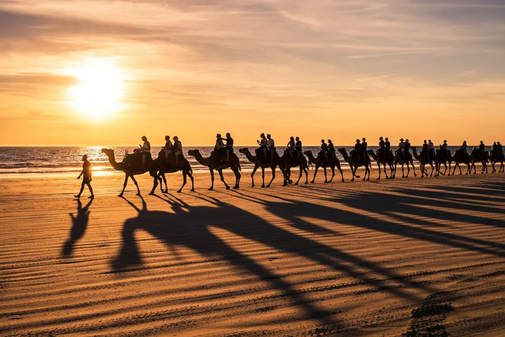 camel-rides-in-broome-western-australia-
