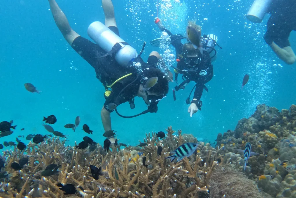 corales-buceo-tailandia