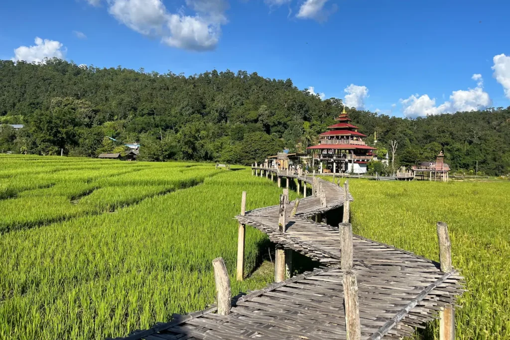 puente-de-bambu-pai