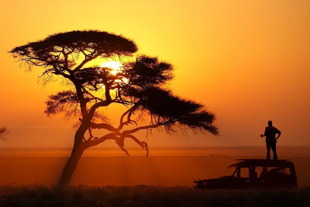 silhouette-standing-on-safari-vehicle-at-golden-sunset