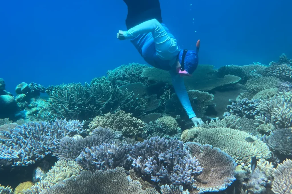 snorkel-gran-barrera-de-coral-australia